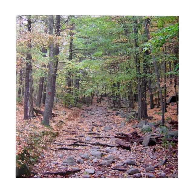 Autumn on Blue Hills Reservation Red Dot Trail Tile (Front)