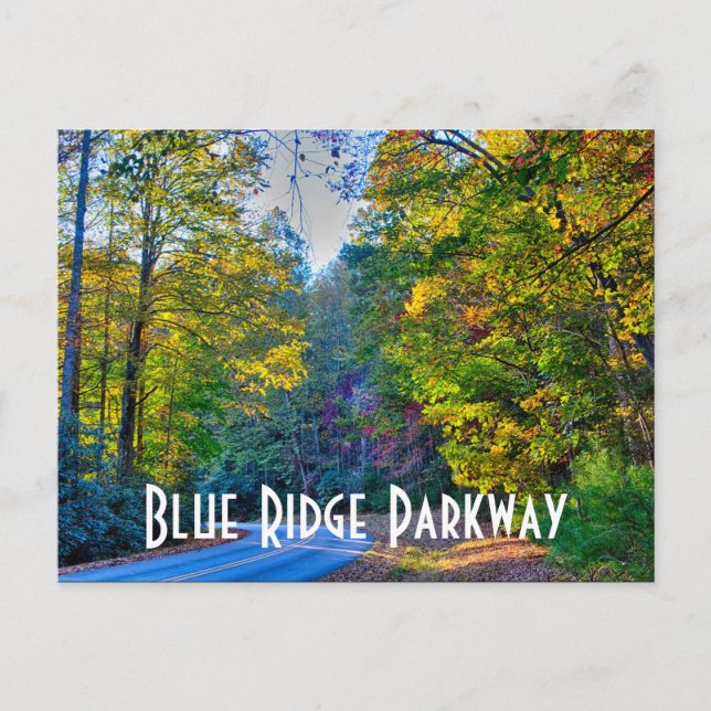 autumn on blue ridge parkway postcard (Front)
