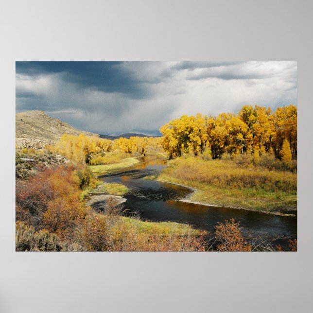 Autumn on the Gunnison River, Colorado Poster (Front)
