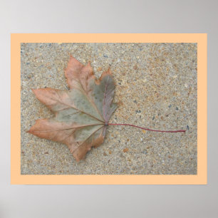 Autumn on the Sidewalk Poster