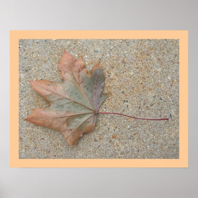 Autumn on the Sidewalk Poster (Front)