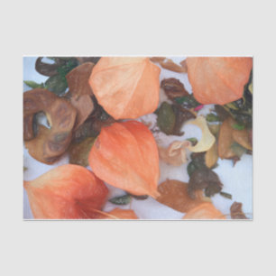 Autumn Orange Chinese Lanterns Plant Tissue Paper