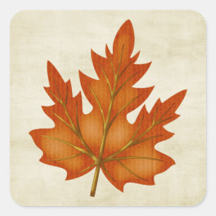 Autumn Orange Maple Leaf Square Sticker