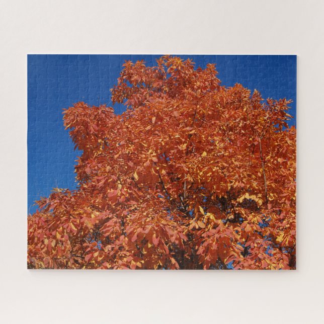 Autumn Orange Tree foliage Puzzle (Horizontal)