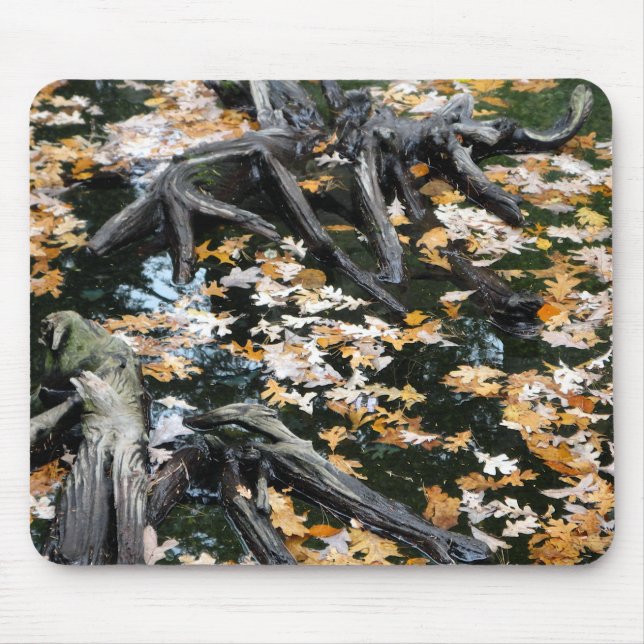 Autumn Otter Pond of Leaves Mouse Pad (Front)