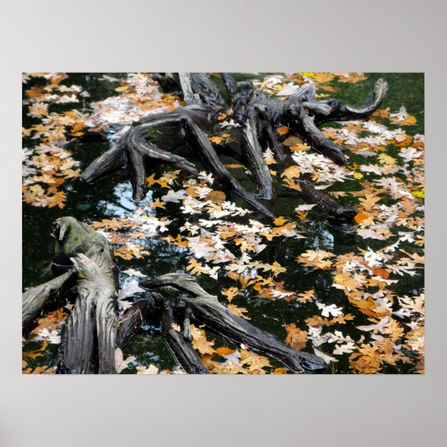 Autumn Otter Pond of Leaves Poster (Front)