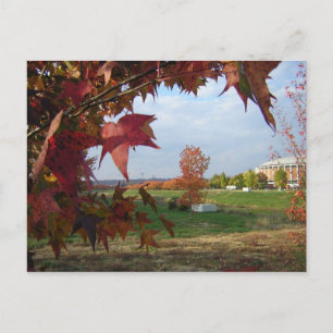 Autumn Over the Convo Postcard