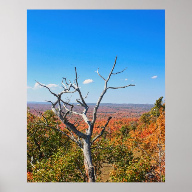 Autumn Overlook at Mount Bohemia Poster (Front)