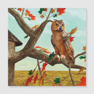 Autumn Owl Maple Tree Wildlife Art