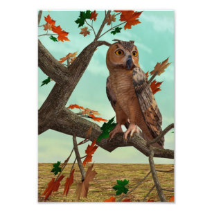 Autumn Owl Maple Tree Wildlife Art Photo Print