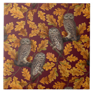 Autumn owls on dark red tile
