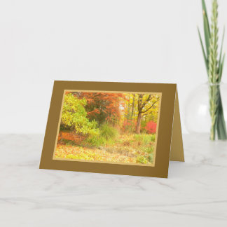"AUTUMN PALETTE" (WOODS AWASH IN COLOR/PHOTOG) CARD