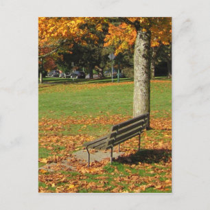 Autumn Park Bench Postcard