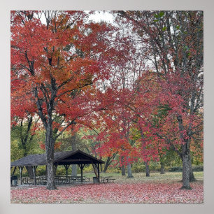 Autumn Park Day Poster
