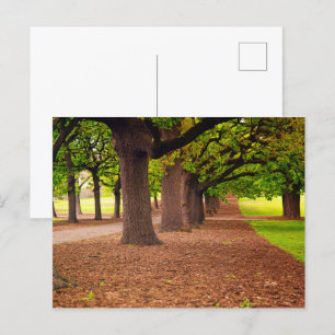 Autumn park postcard