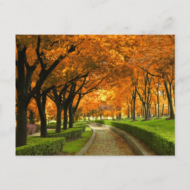 Autumn Park Postcard (Front)