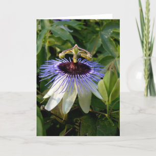 Autumn Passion Flower Card