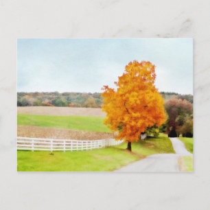 Autumn Pasture Postcard