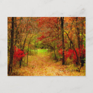 Autumn Path in Forest Thanksgiving Postcard
