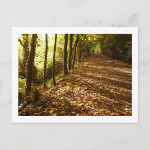 Autumn Path: Keswick Postcard