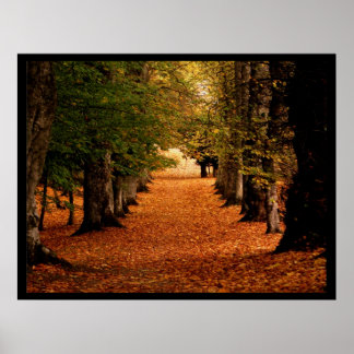 Autumn Path Poster Print