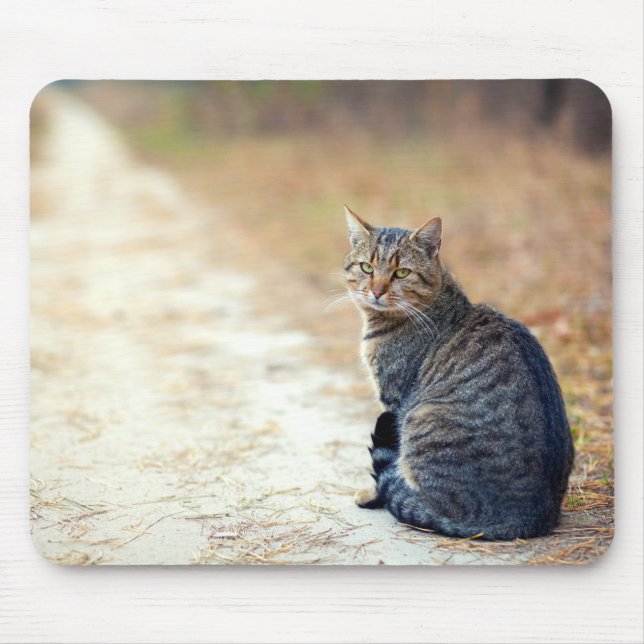Autumn Path Tabby Mouse Pad (Front)