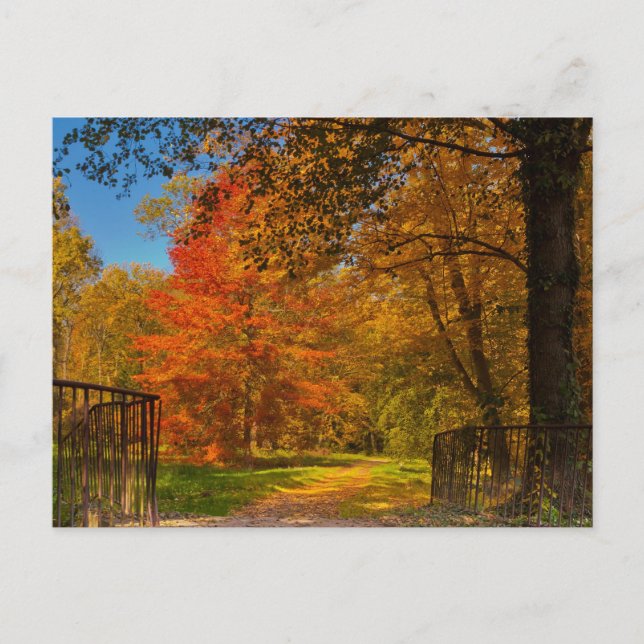 Autumn pathway postcard (Front)