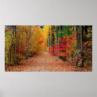 Autumn pathway , print