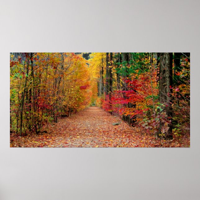 Autumn pathway , print (Front)