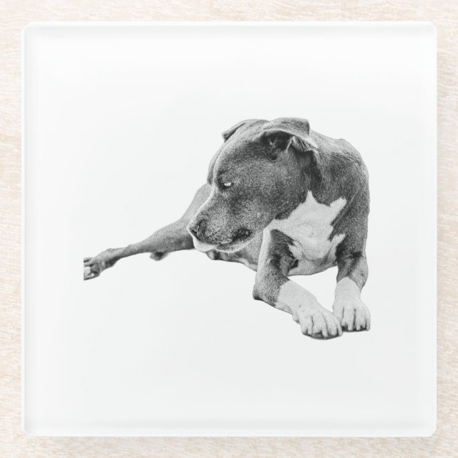 Autumn Pause Glass Coaster (Front)