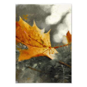 Autumn Photo Print