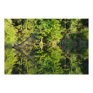 Autumn Photo Print