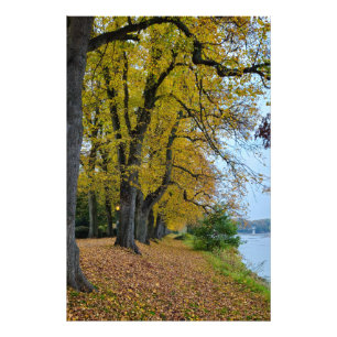 Autumn photo print