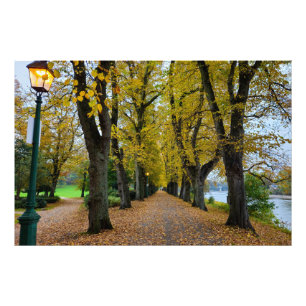 Autumn photo print
