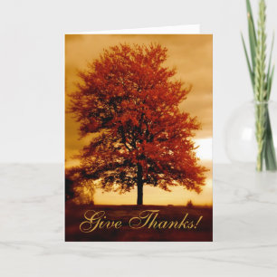 Autumn Photograph Custom Thanksgiving Card