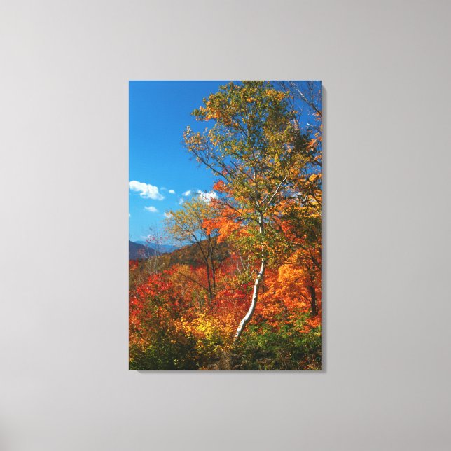 Autumn Pictures Canvas Print (Front)
