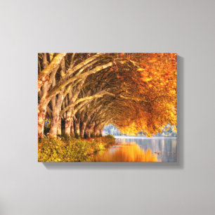 Autumn Plane Trees Over a Lake Canvas Print