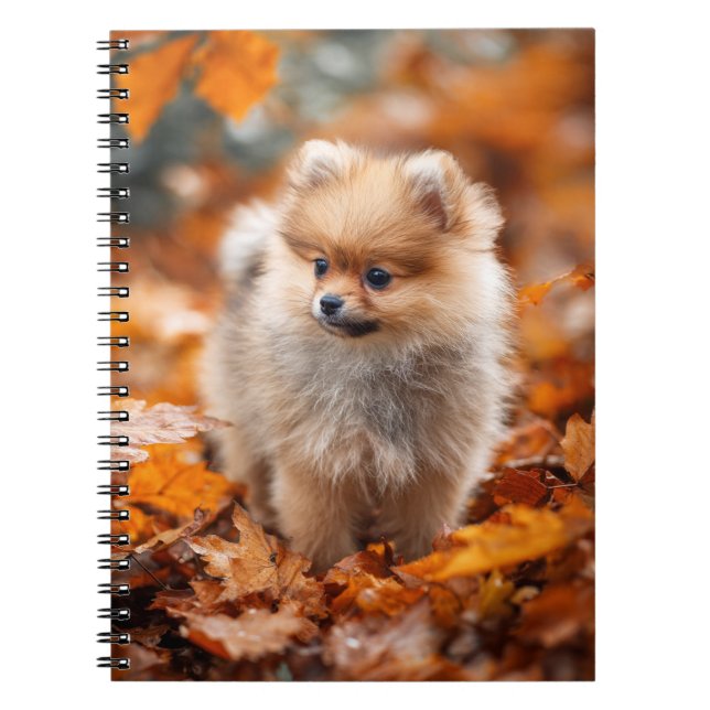 Autumn Pomeranian Puppy Spiral Notebook (Front)