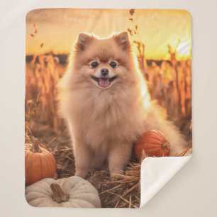 Autumn Pomeranian Sherpa Blanket