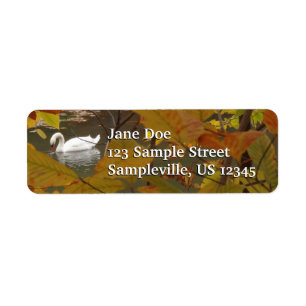 Autumn Pond with Swan