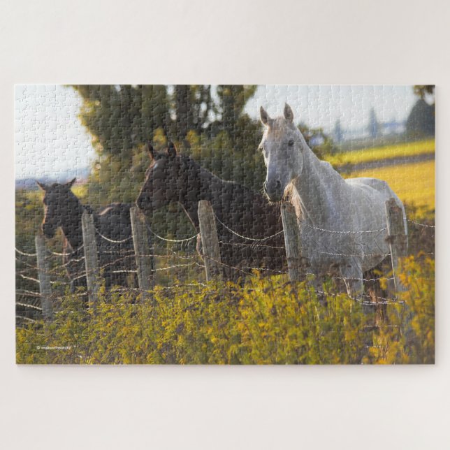Autumn Portrait of Three Horses Jigsaw Puzzle (Horizontal)