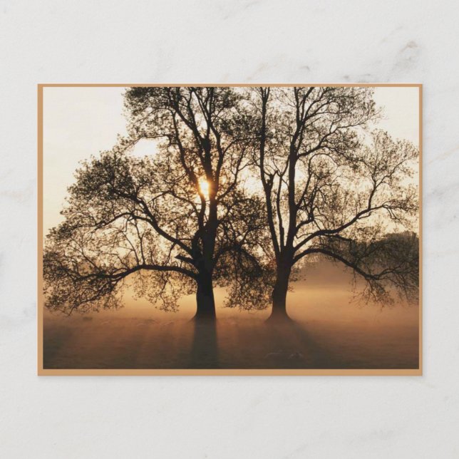 Autumn Post Card (Front)