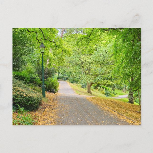 Autumn  postcard (Front)