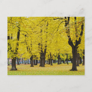 Autumn Postcard