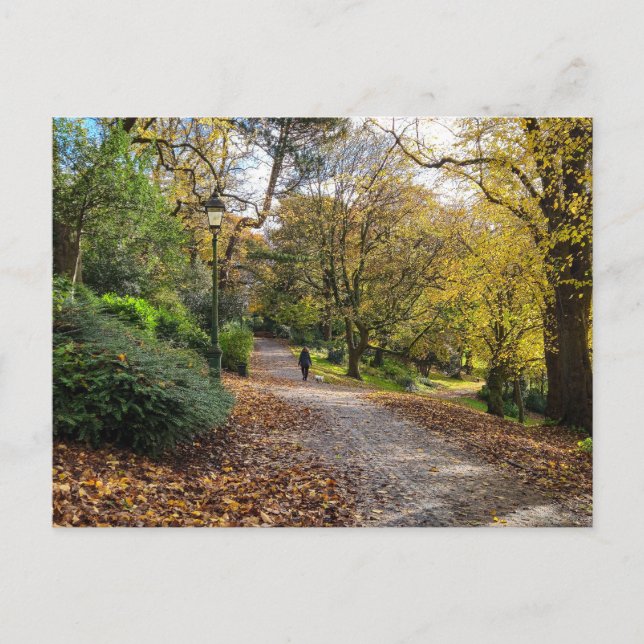Autumn Postcard (Front)