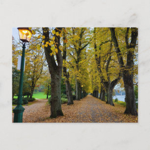 Autumn postcard