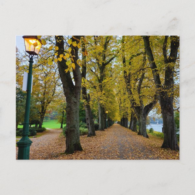 Autumn  postcard (Front)
