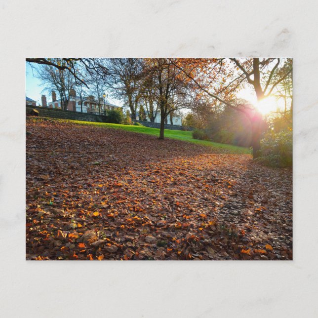 Autumn  postcard (Front)