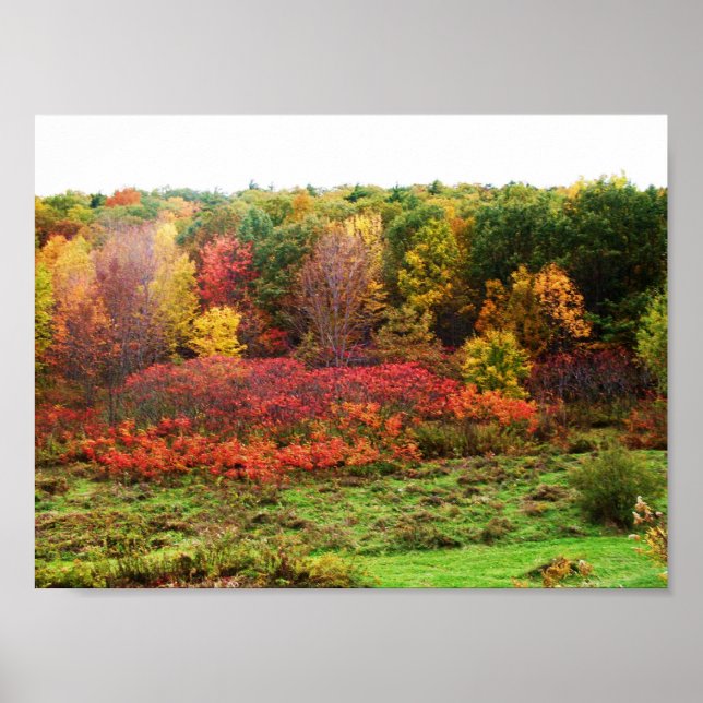 AUTUMN POSTER (Front)