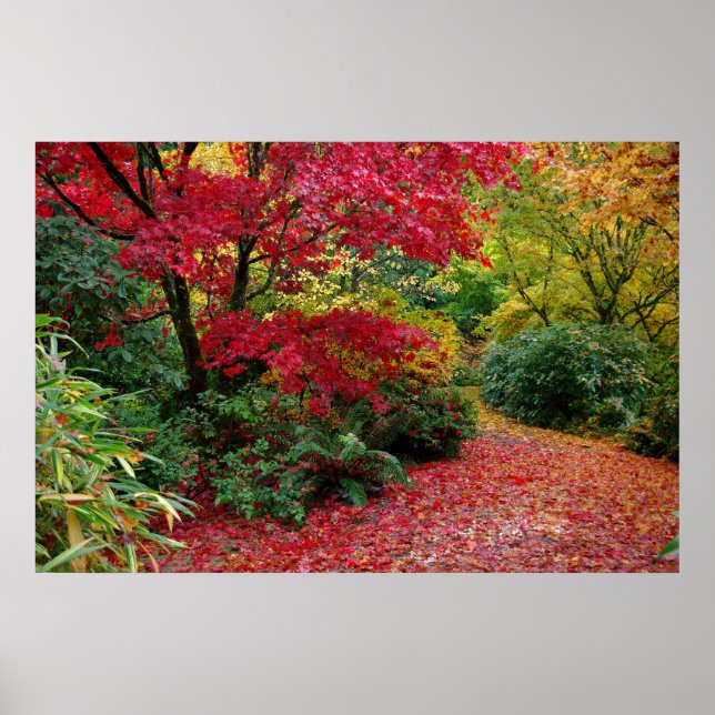 Autumn Poster (Front)